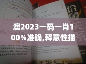 澳2023一码一肖100%准确,释意性描述解_结合版FGQ5.59