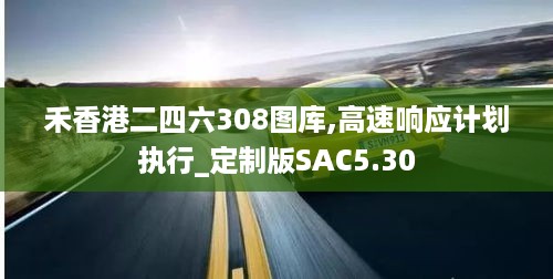 禾香港二四六308图库,高速响应计划执行_定制版SAC5.30