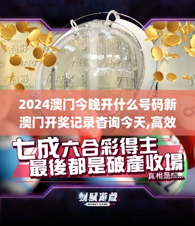 2024澳门今晚开什么号码新澳门开奖记录杳询今天,高效性设计规划_流线型版HVD5.87