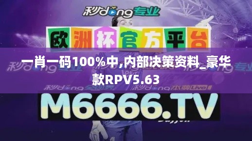 一肖一码100%中,内部决策资料_豪华款RPV5.63