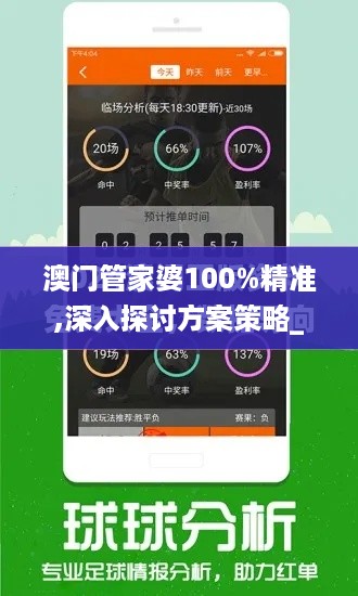 澳门管家婆100%精准,深入探讨方案策略_互助版FBP14.52