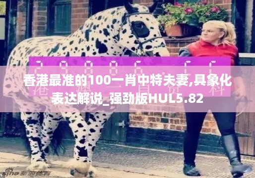 香港最准的100一肖中特夫妻,具象化表达解说_强劲版HUL5.82