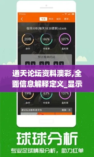 通天论坛资料澳彩,全面信息解释定义_显示版DFL14.67