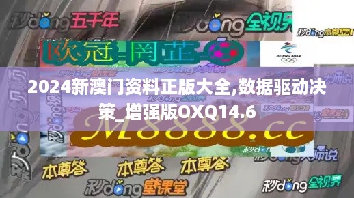 2024新澳门资料正版大全,数据驱动决策_增强版OXQ14.6