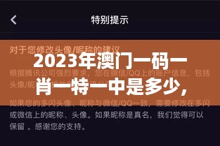 2023年澳门一码一肖一特一中是多少,实地观察解释定义_影像处理版REL5.70