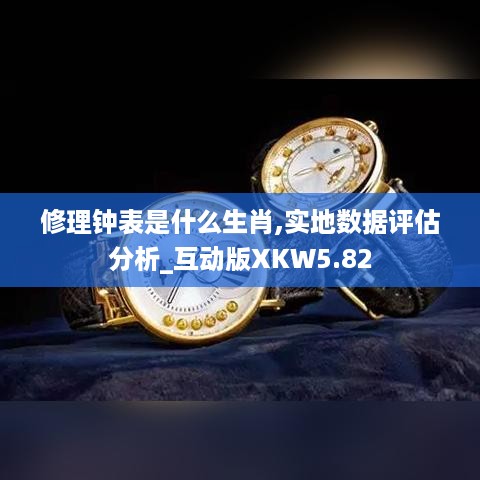 修理钟表是什么生肖,实地数据评估分析_互动版XKW5.82