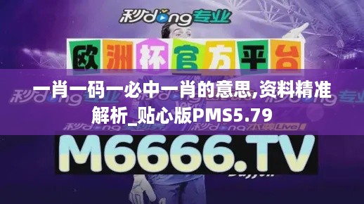 一肖一码一必中一肖的意思,资料精准解析_贴心版PMS5.79