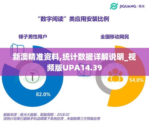 新澳精准资料,统计数据详解说明_视频版UPA14.39