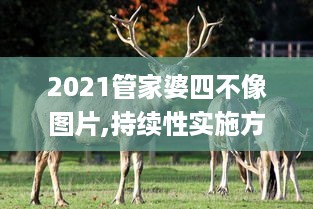 2021管家婆四不像图片,持续性实施方案_收藏版DKW14.97