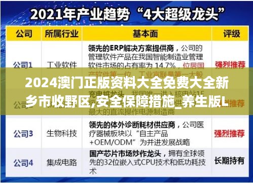 2024澳门正版资料大全免费大全新乡市收野区,安全保障措施_养生版LWV14.53