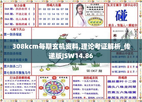 308kcm每期玄机资料,理论考证解析_传递版JSW14.86