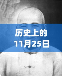 2024年11月 第311页