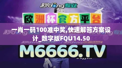 一肖一码100准中奖,快速解答方案设计_数字版FQU14.50