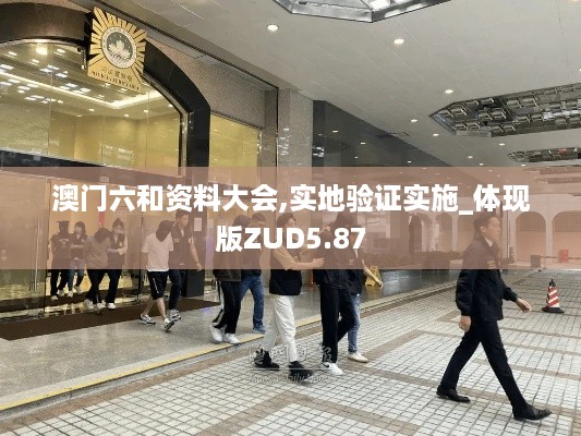 澳门六和资料大会,实地验证实施_体现版ZUD5.87