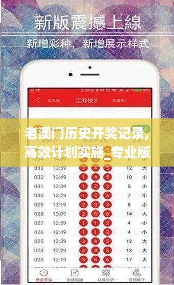 老澳门历史开奖记录,高效计划实施_专业版YNF5.70