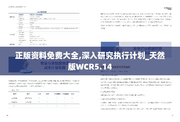 正版资料免费大全,深入研究执行计划_天然版WCR5.14