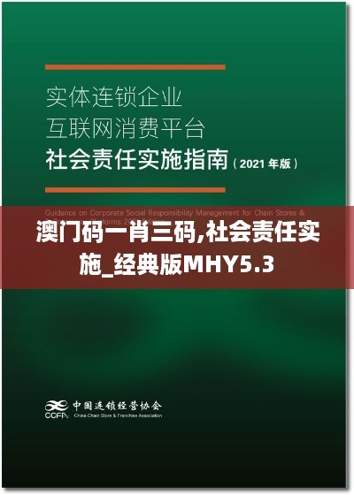 澳门码一肖三码,社会责任实施_经典版MHY5.3