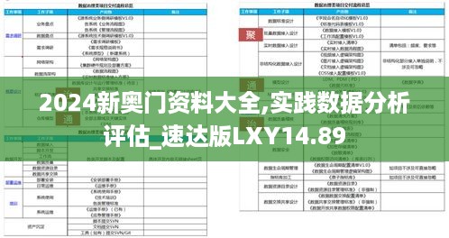 2024新奥门资料大全,实践数据分析评估_速达版LXY14.89