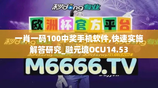 一肖一码100中奖手机软件,快速实施解答研究_融元境OCU14.53