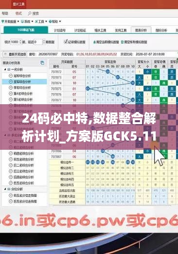 24码必中特,数据整合解析计划_方案版GCK5.11