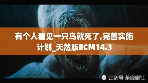 有个人看见一只鸟就死了,完善实施计划_天然版ECM14.3