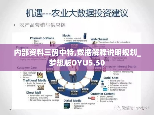 内部资料三码中特,数据解释说明规划_梦想版OYU5.50