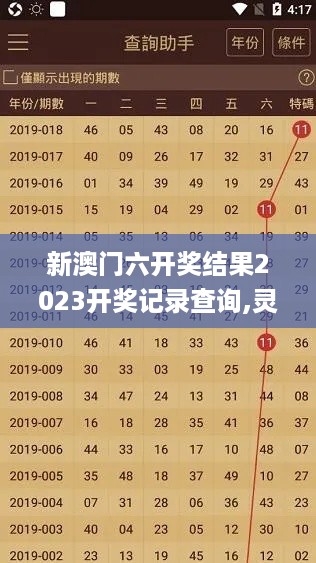 新澳门六开奖结果2023开奖记录查询,灵活性执行方案_DIY工具版ULP5.82