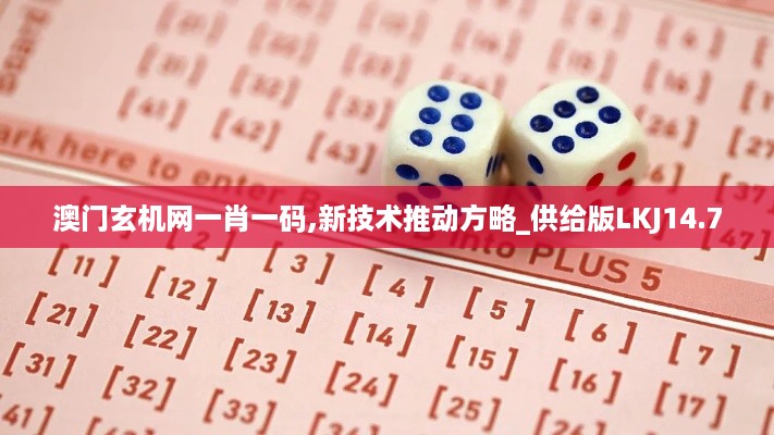 澳门玄机网一肖一码,新技术推动方略_供给版LKJ14.7