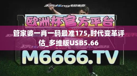 管家婆一肖一码最准175,时代变革评估_多维版USB5.66