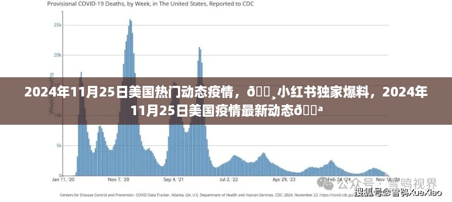 独家爆料，2024年11月25日美国疫情最新动态