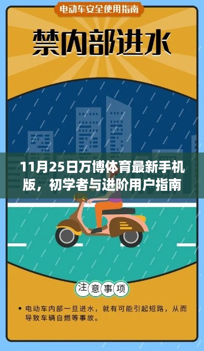 关于11月25日万博体育最新手机版，初学者与进阶用户指南及安全下载使用指南，警惕违法犯罪风险。