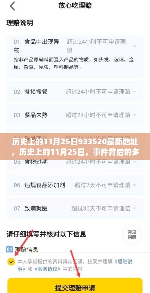 历史上的11月25日事件深度解析与多维视角探讨，最新地址揭秘