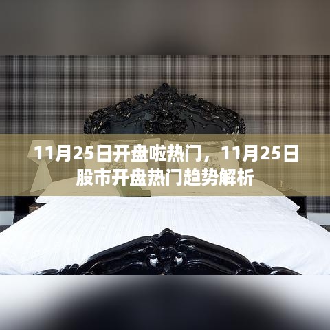 11月25日股市开盘热门趋势独家解析