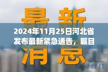 河北省最新紧急通告发布，关注2024年11月25日重要更新