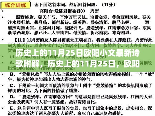 欧阳小文最新诗歌解读，历史上的11月25日与诗歌赏析