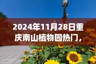 重庆南山植物园，秋日的绿色盛宴在2024年11月28日盛大开启