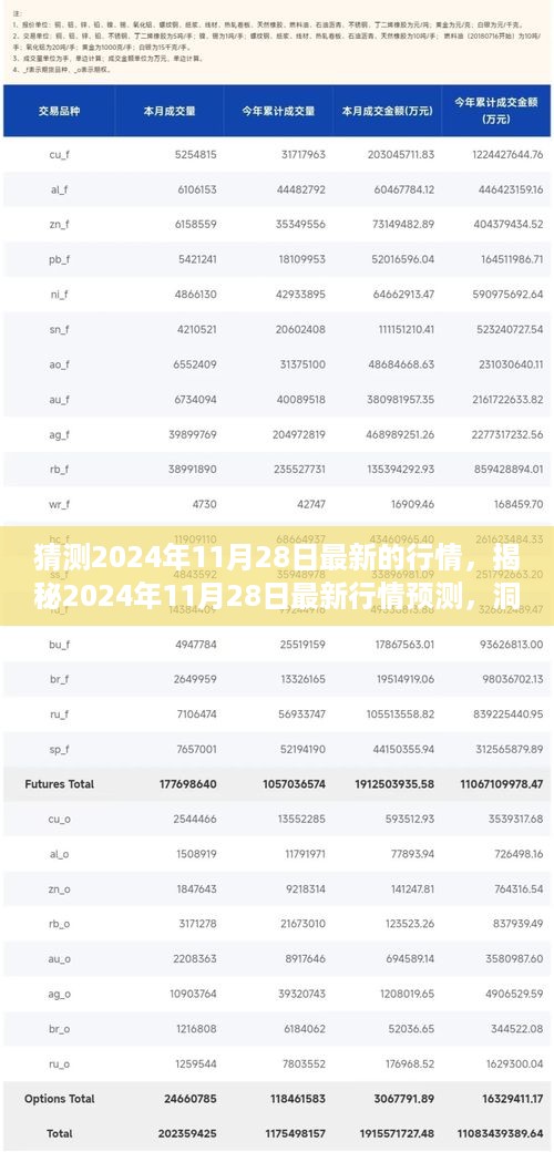 2024年11月28日行情预测解析，小红书体揭示未来市场趋势