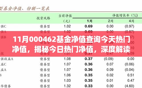 揭秘今日热门净值，深度解读11月000462基金净值走势及热门净值查询。