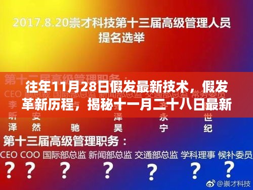 揭秘，历年11月28日假发技术革新历程与最新技术揭秘