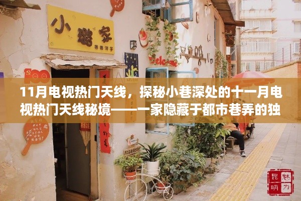 探秘都市巷弄中的十一月电视热门天线秘境，独特小店揭秘之旅