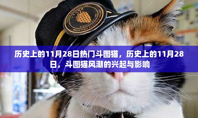 历史上的斗图猫风潮，从兴起看影响，聚焦11月28日的斗图猫热潮