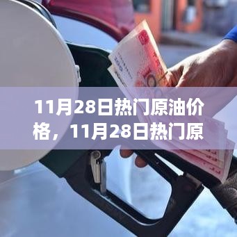 11月28日热门原油价格的深度测评与详细介绍