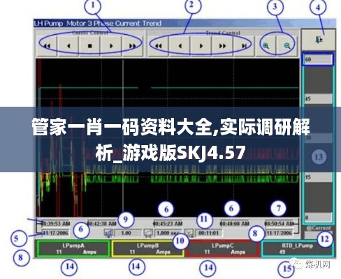 管家一肖一码资料大全,实际调研解析_游戏版SKJ4.57