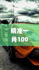 精准一肖100,科学分析严谨解释_智巧版PEO4.60