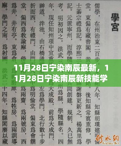 11月28日宁染南辰新技能学习攻略，逐步掌握最新技能