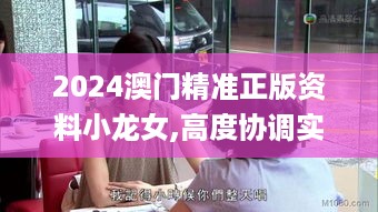 2024澳门精准正版资料小龙女,高度协调实施_增强版LEI18.94