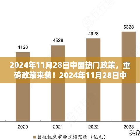 2024年11月28日中国热门政策深度解读与未来趋势展望