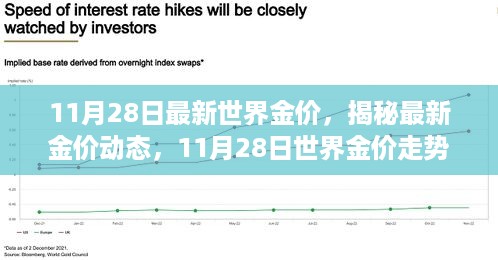 揭秘最新金价动态，11月28日世界金价走势分析