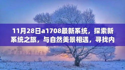 探索新系统之旅，与自然美景相遇，寻找内心的宁静港湾——最新系统更新a1708体验分享