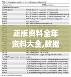 正版资料全年资料大全,数据化决策分析_高速版JAK4.71